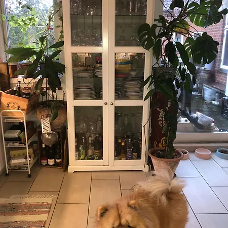 Апартаменты Bed & Kitchen Кёге