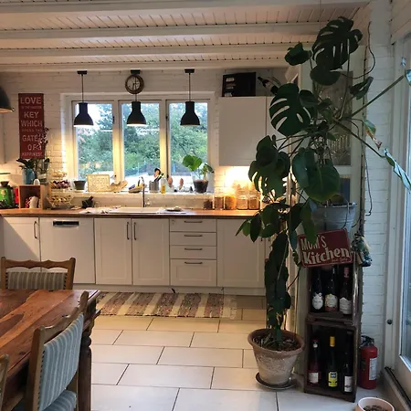Bed & Kitchen *