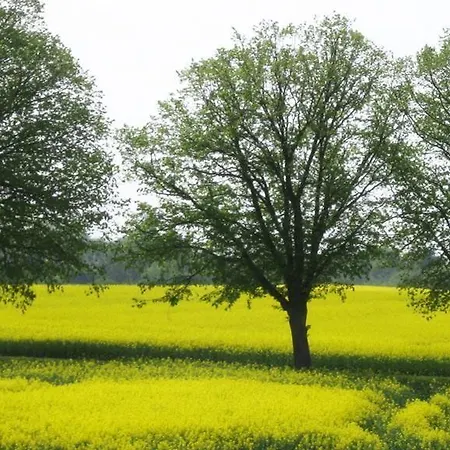 Bed & Kitchen Apartament Koge