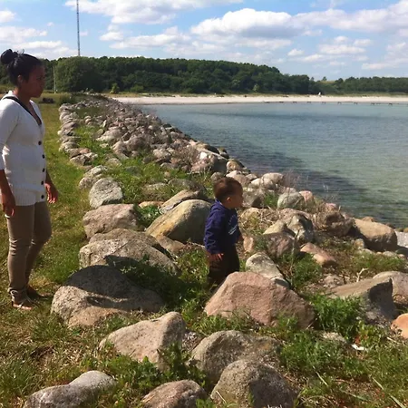 Apartament Bed & Kitchen *