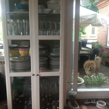 Apartament Bed & Kitchen