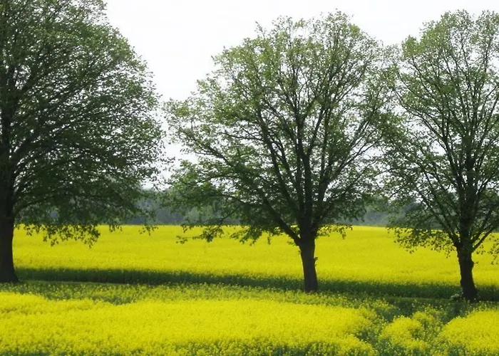 Bed&kitchen Apartment Koge