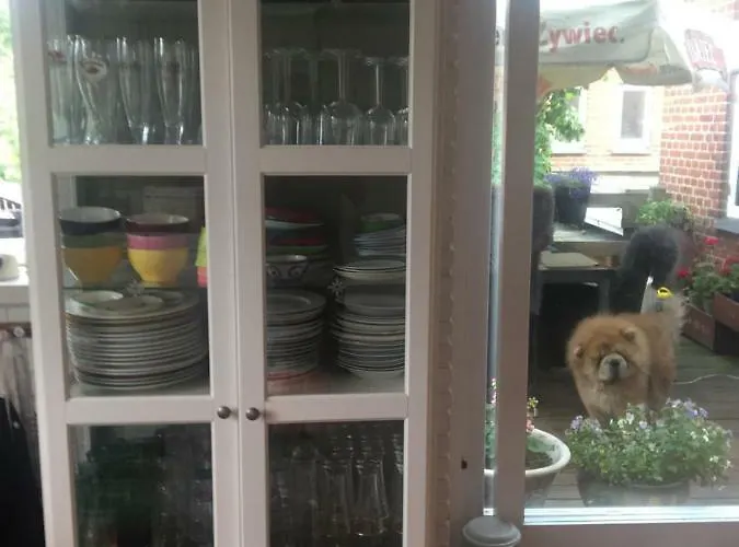 Apartment Bed&kitchen